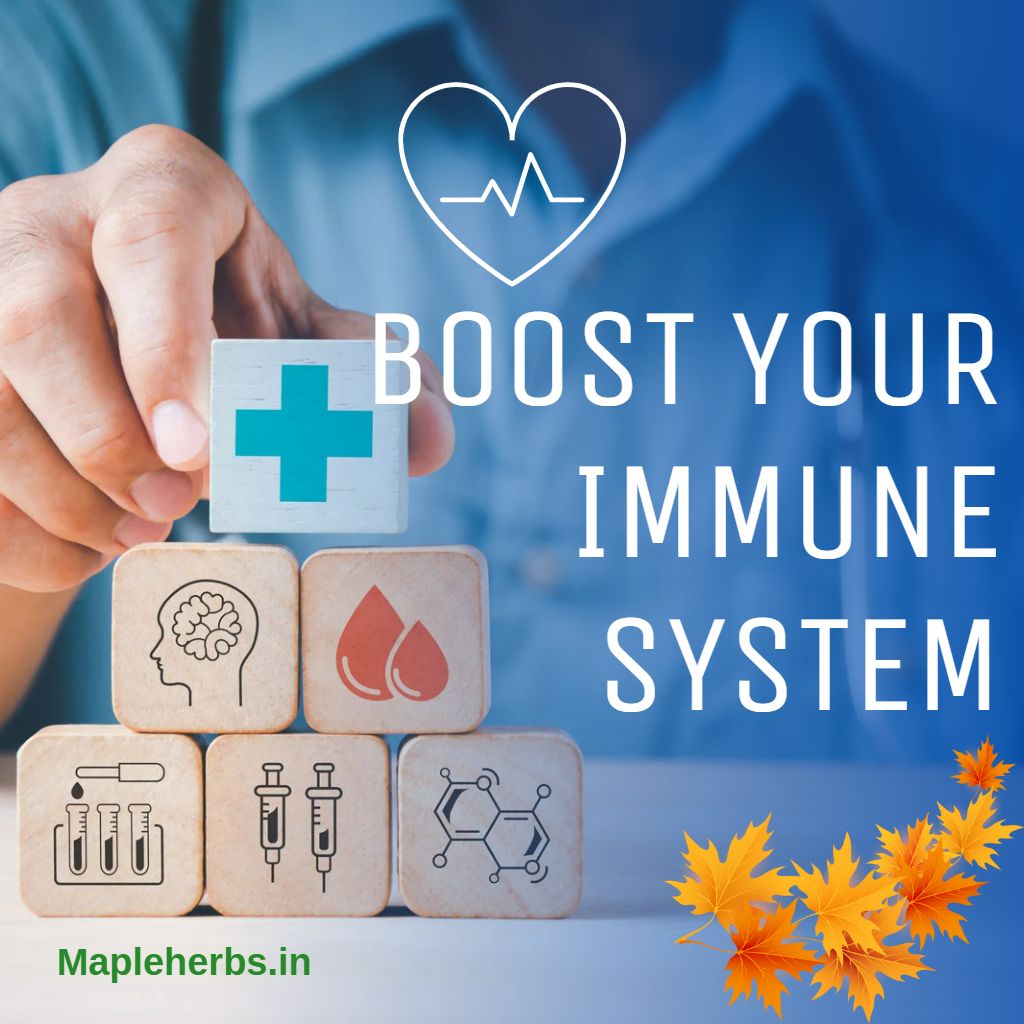 Boost Your Immunity Naturally: Tips and Strategies from Maple Herbs