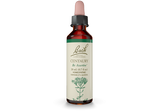 Bach® Original Flower Remedies, Centaury (20 ml) | Maple Herbs