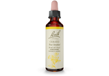 Bach® Original Flower Remedies, Cerato (20 ml) | Maple Herbs