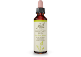 Bach® Original Flower Remedies, Chestnut Bud (20 ml) | Maple Herbs
