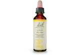 Bach® Original Flower Remedies, Gorse (20 ml) | Maple Herbs