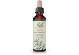 Bach® Original Flower Remedies, Holly (20 ml) | Maple Herbs