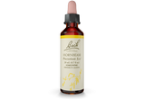 Bach® Original Flower Remedies, Hornbeam (20 ml) | Maple Herbs