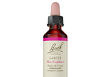 Bach® Original Flower Remedies, Larch (20 ml) | Maple Herbs