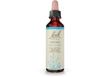 Bach® Original Flower Remedies, Vervain (20 ml) | Maple Herbs