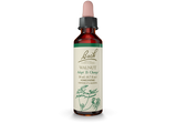 Bach® Original Flower Remedies, Walnut (20 ml) | Maple Herbs