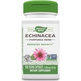 Nature's Way, Echinacea (100 Capsules) | Maple Herbs