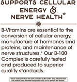 Nature's Way Vitamin B-100 Complex