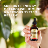 support-immune-system