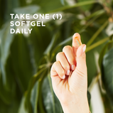 take-one-softgel-daily