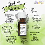 AURA CACIA®, Tea Tree Essential Oil (2 oz) | Maple Herbs