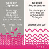 neocell-collagen-beauty-infusion-funcationality-mepal-herbs